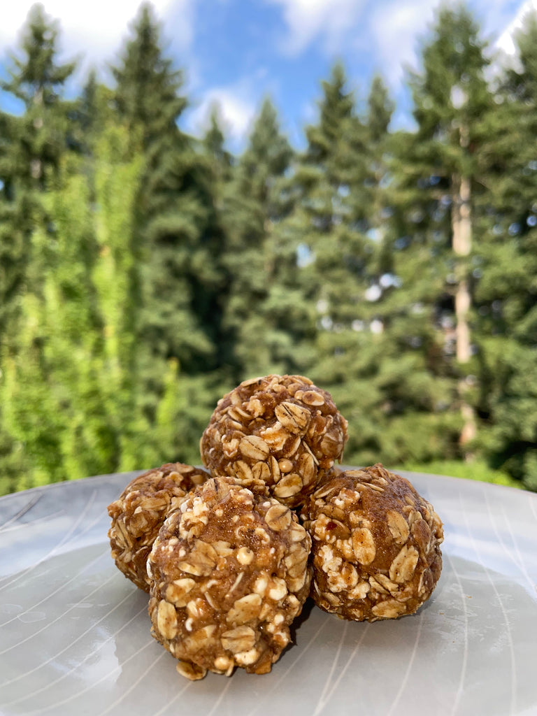 Popped Sorghum Energy Bites