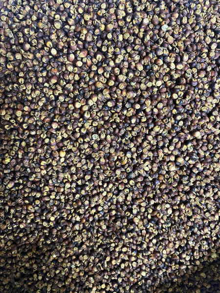 Organic Black Sorghum Grain